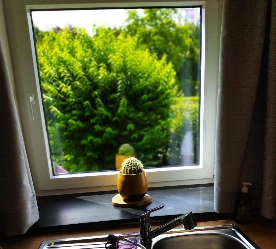Le Clos Des 3 - Vacances Avec Vue En Ardennes A 5 Kilometres De La Roche - Maison De 90 M2 Avec Chambres - Avec Magnifique Jardin Rendeux Kültér fotó