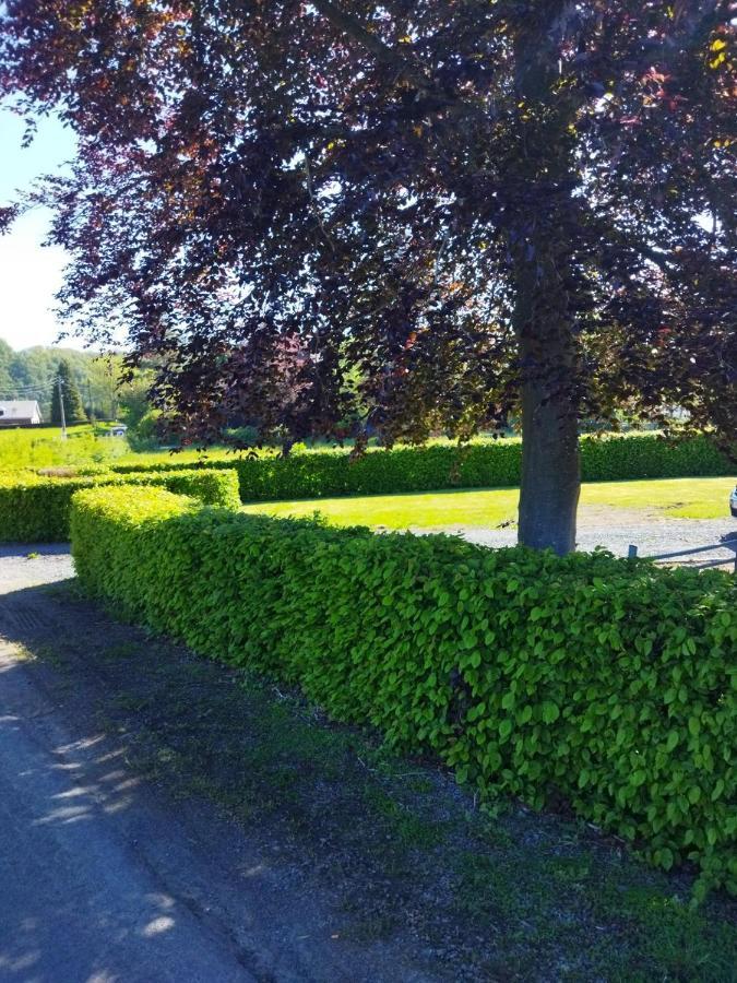 Le Clos Des 3 - Vacances Avec Vue En Ardennes A 5 Kilometres De La Roche - Maison De 90 M2 Avec Chambres - Avec Magnifique Jardin Rendeux Kültér fotó